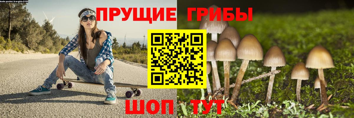 Галлюциногенные грибы Magic Shrooms Солнечногорск