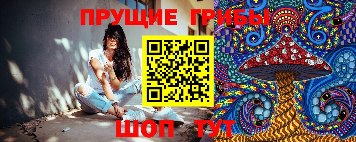 Солнечногорск  Галлюциногенные грибы MAGIC MUSHROOMS  Вход с VPN 